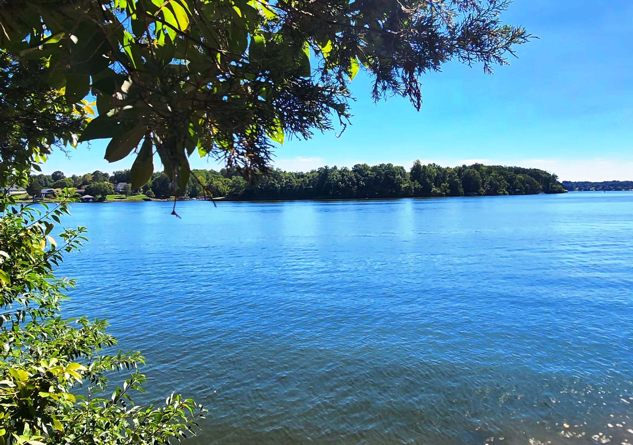 North Carolina Lake Lots for sale